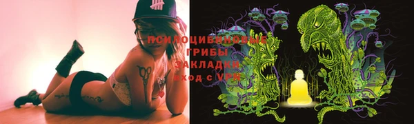 дживик Заводоуковск