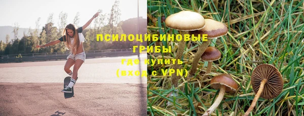 дживик Заводоуковск
