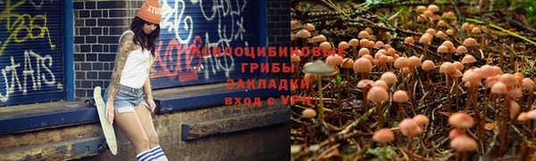 дживик Заводоуковск