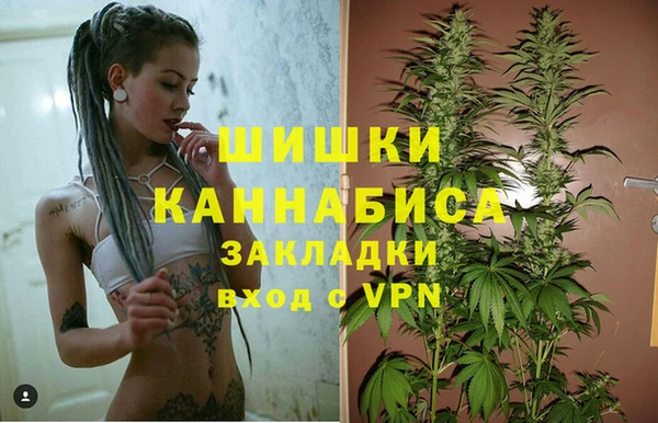 дживик Заводоуковск